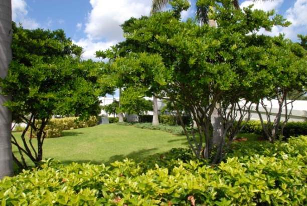 Garden Designs