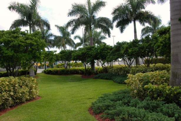 Garden Designs